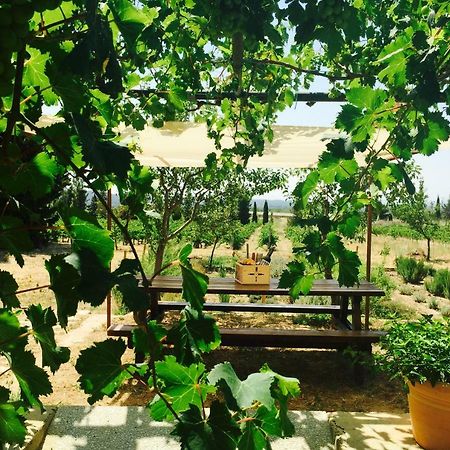 El Recer De Masia Serra Cantallops Exterior foto