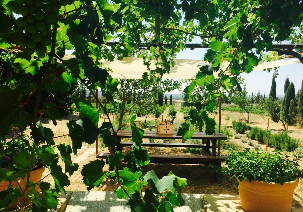 El Recer De Masia Serra Cantallops Exterior foto