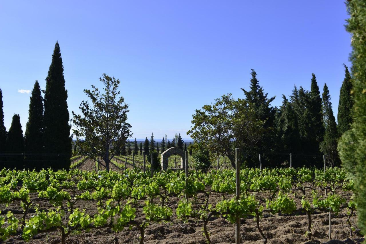 El Recer De Masia Serra Cantallops Exterior foto